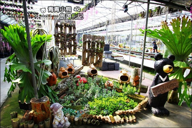 台中后里景點》萌芳花卉農場.粉嫩的石斛蘭綻放中~免費賞花景點推薦 @青青小熊*旅遊札記 台中后里景點》萌芳花卉農場.粉嫩的石斛蘭綻放中~免費賞花景點推薦 @青青小熊*旅遊札記