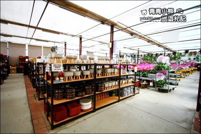 台中后里景點》萌芳花卉農場.粉嫩的石斛蘭綻放中~免費賞花景點推薦 @青青小熊*旅遊札記 台中后里景點》萌芳花卉農場.粉嫩的石斛蘭綻放中~免費賞花景點推薦 @青青小熊*旅遊札記