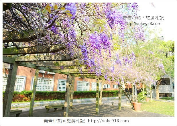 中華大學紫藤花》新竹紫藤花.漫步在紫藤花下的浪漫 @青青小熊*旅遊札記 中華大學紫藤花》新竹紫藤花.漫步在紫藤花下的浪漫 @青青小熊*旅遊札記