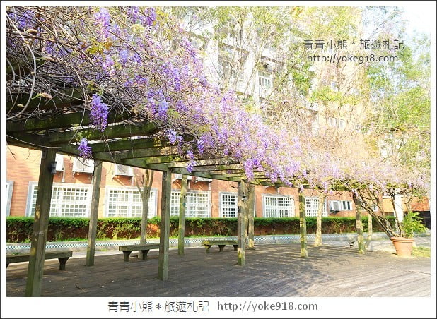 中華大學紫藤花》新竹紫藤花.漫步在紫藤花下的浪漫 @青青小熊*旅遊札記 中華大學紫藤花》新竹紫藤花.漫步在紫藤花下的浪漫 @青青小熊*旅遊札記