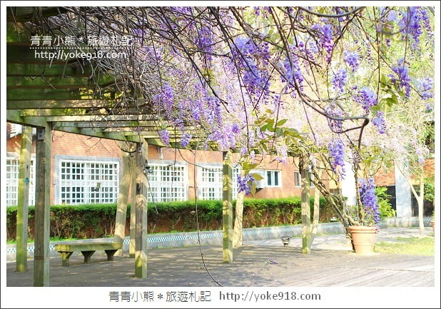 中華大學紫藤花》新竹紫藤花．漫步在紫藤花下的浪漫 @青青小熊＊旅遊札記
