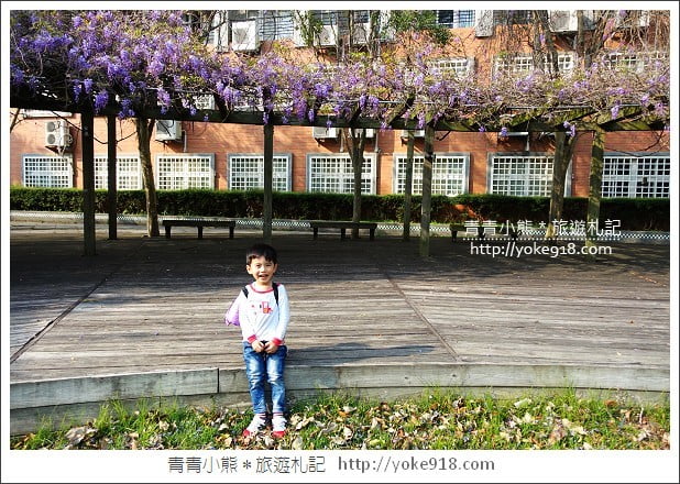 中華大學紫藤花》新竹紫藤花.漫步在紫藤花下的浪漫 @青青小熊*旅遊札記 中華大學紫藤花》新竹紫藤花.漫步在紫藤花下的浪漫 @青青小熊*旅遊札記