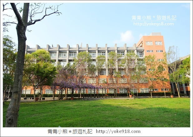 中華大學紫藤花》新竹紫藤花.漫步在紫藤花下的浪漫 @青青小熊*旅遊札記 中華大學紫藤花》新竹紫藤花.漫步在紫藤花下的浪漫 @青青小熊*旅遊札記