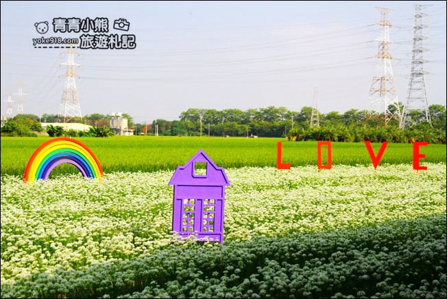 彰化景點》埤頭韭菜花田.一大片花田,還有浪漫造景~來這拍美照 @青青小熊*旅遊札記 彰化景點》埤頭韭菜花田.一大片花田,還有浪漫造景~來這拍美照 @青青小熊*旅遊札記