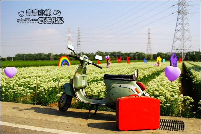彰化景點》埤頭韭菜花田.一大片花田,還有浪漫造景~來這拍美照 @青青小熊*旅遊札記 彰化景點》埤頭韭菜花田.一大片花田,還有浪漫造景~來這拍美照 @青青小熊*旅遊札記