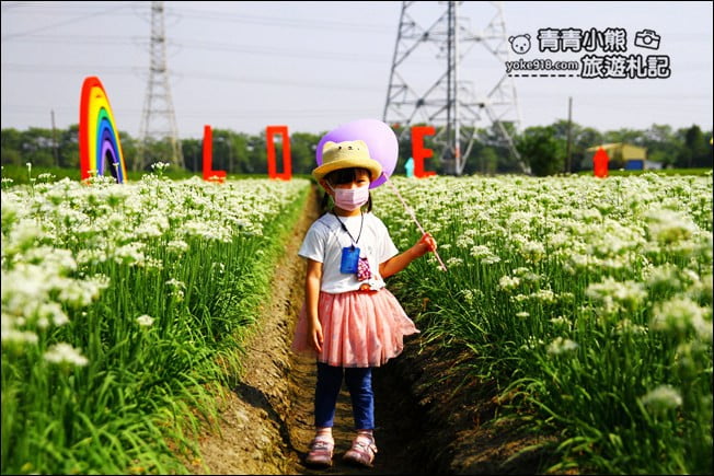 彰化景點》埤頭韭菜花田．一大片花田，還有浪漫造景~來這拍美照 @青青小熊＊旅遊札記