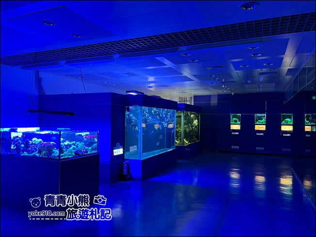 屏東景點》屏東農科園區觀賞水族展示廳．還有草間彌生的南瓜 @青青小熊＊旅遊札記