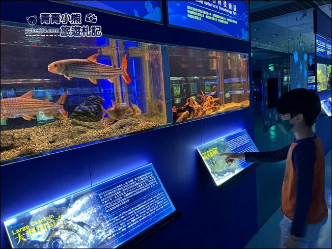屏東景點》屏東農科園區觀賞水族展示廳．還有草間彌生的南瓜 @青青小熊＊旅遊札記