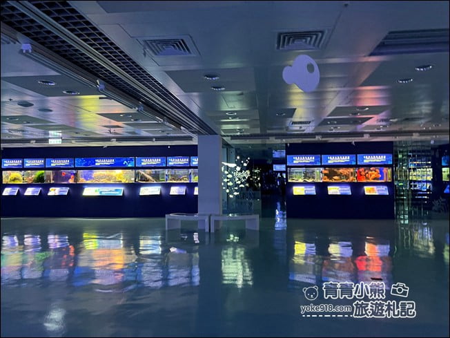 屏東景點》屏東農科園區觀賞水族展示廳．還有草間彌生的南瓜 @青青小熊＊旅遊札記