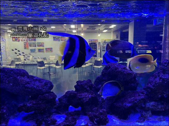 屏東景點》屏東農科園區觀賞水族展示廳．還有草間彌生的南瓜 @青青小熊＊旅遊札記