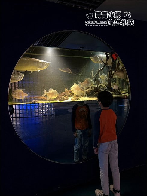 屏東景點》屏東農科園區觀賞水族展示廳．還有草間彌生的南瓜 @青青小熊＊旅遊札記