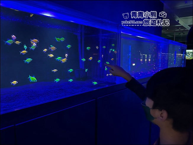 屏東景點》屏東農科園區觀賞水族展示廳．還有草間彌生的南瓜 @青青小熊＊旅遊札記