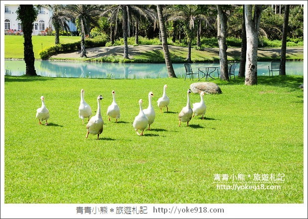 有熊的森林villa》花蓮民宿推薦.雲山水有熊的森林~擁有超夢幻湖景相伴 @青青小熊*旅遊札記 有熊的森林villa》花蓮民宿推薦.雲山水有熊的森林~擁有超夢幻湖景相伴 @青青小熊*旅遊札記
