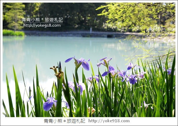 有熊的森林villa》花蓮民宿推薦.雲山水有熊的森林~擁有超夢幻湖景相伴 @青青小熊*旅遊札記 有熊的森林villa》花蓮民宿推薦.雲山水有熊的森林~擁有超夢幻湖景相伴 @青青小熊*旅遊札記