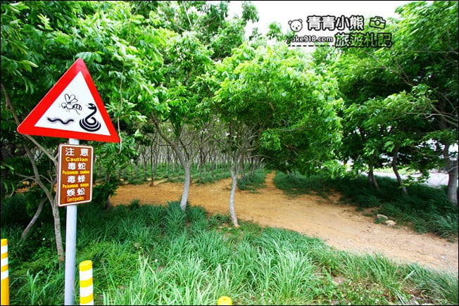 台中后里景點》龍貓隧道無患子森林&隱藏版孤挺花海~免費散步拍照去 @青青小熊*旅遊札記 台中后里景點》龍貓隧道無患子森林&隱藏版孤挺花海~免費散步拍照去 @青青小熊*旅遊札記