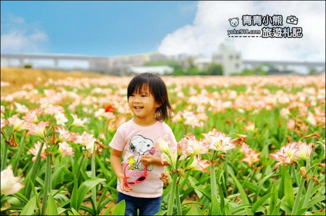 台中后里景點》龍貓隧道無患子森林&隱藏版孤挺花海~免費散步拍照去 @青青小熊*旅遊札記 台中后里景點》龍貓隧道無患子森林&隱藏版孤挺花海~免費散步拍照去 @青青小熊*旅遊札記