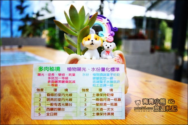 南投新景點》多肉秘境福興店.超夯的天空階梯、透明泡泡屋~還可以玩DIY @青青小熊*旅遊札記 南投新景點》多肉秘境福興店.超夯的天空階梯、透明泡泡屋~還可以玩DIY @青青小熊*旅遊札記