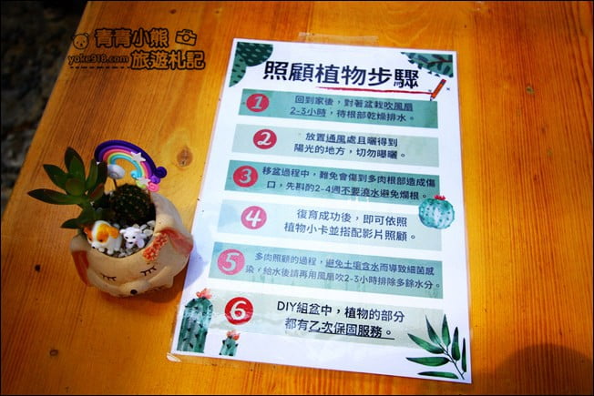 南投新景點》多肉秘境福興店.超夯的天空階梯、透明泡泡屋~還可以玩DIY @青青小熊*旅遊札記 南投新景點》多肉秘境福興店.超夯的天空階梯、透明泡泡屋~還可以玩DIY @青青小熊*旅遊札記