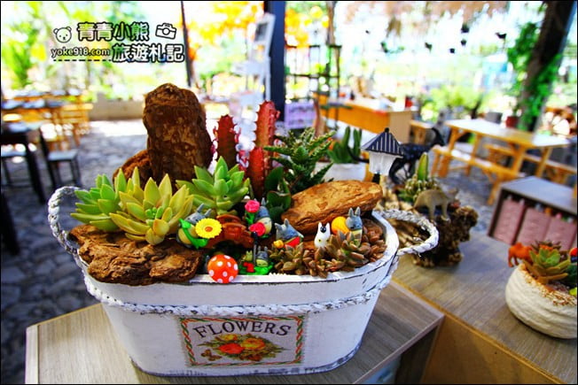 南投新景點》多肉秘境福興店．超夯的天空階梯、透明泡泡屋~還可以玩DIY @青青小熊＊旅遊札記
