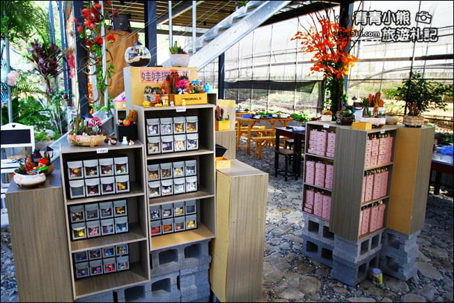 南投新景點》多肉秘境福興店.超夯的天空階梯、透明泡泡屋~還可以玩DIY @青青小熊*旅遊札記 南投新景點》多肉秘境福興店.超夯的天空階梯、透明泡泡屋~還可以玩DIY @青青小熊*旅遊札記