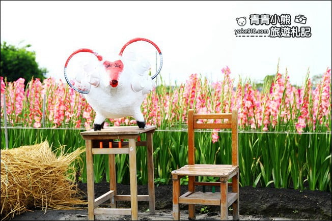 彰化賞花景點》社頭雙鐵花田.粉嫩的劍蘭花海秘境,還可以看到呼嘯而過的火車 @青青小熊*旅遊札記 彰化賞花景點》社頭雙鐵花田.粉嫩的劍蘭花海秘境,還可以看到呼嘯而過的火車 @青青小熊*旅遊札記