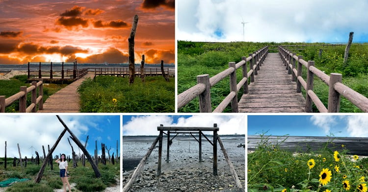 彰化景點》福寶溼地．漂流木IG打卡景點~探訪溼地&賞夕陽看海去 @青青小熊＊旅遊札記