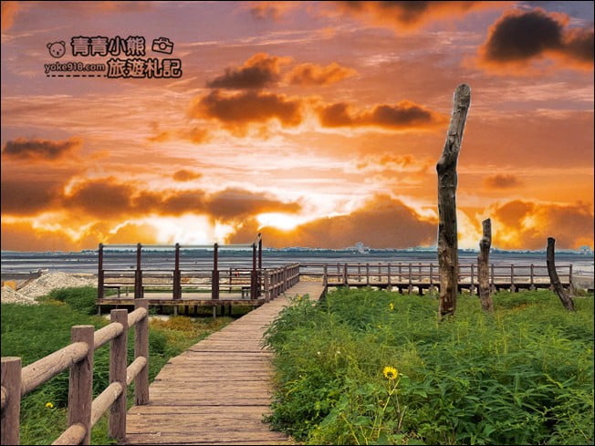 彰化景點》福寶溼地.漂流木IG打卡景點~探訪溼地&賞夕陽看海去 @青青小熊*旅遊札記 彰化景點》福寶溼地.漂流木IG打卡景點~探訪溼地&賞夕陽看海去 @青青小熊*旅遊札記