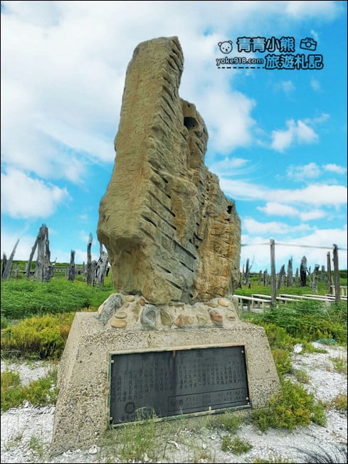 彰化景點》福寶溼地．漂流木IG打卡景點~探訪溼地&賞夕陽看海去 @青青小熊＊旅遊札記