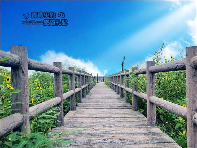 彰化景點》福寶溼地.漂流木IG打卡景點~探訪溼地&賞夕陽看海去 @青青小熊*旅遊札記 彰化景點》福寶溼地.漂流木IG打卡景點~探訪溼地&賞夕陽看海去 @青青小熊*旅遊札記