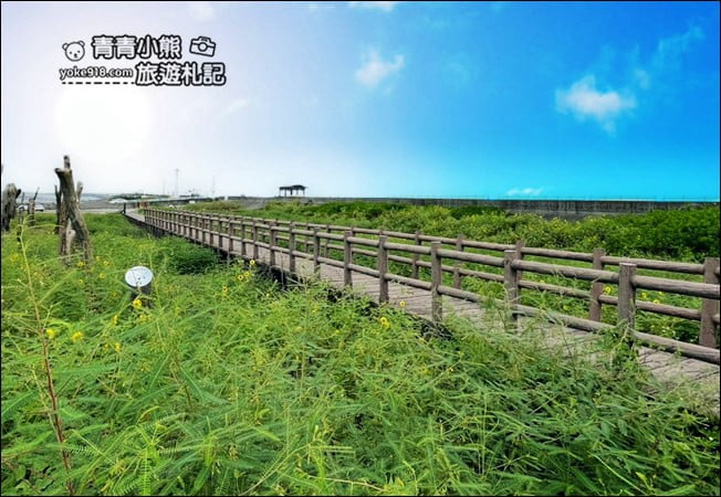 彰化景點》福寶溼地.漂流木IG打卡景點~探訪溼地&賞夕陽看海去 @青青小熊*旅遊札記 彰化景點》福寶溼地.漂流木IG打卡景點~探訪溼地&賞夕陽看海去 @青青小熊*旅遊札記