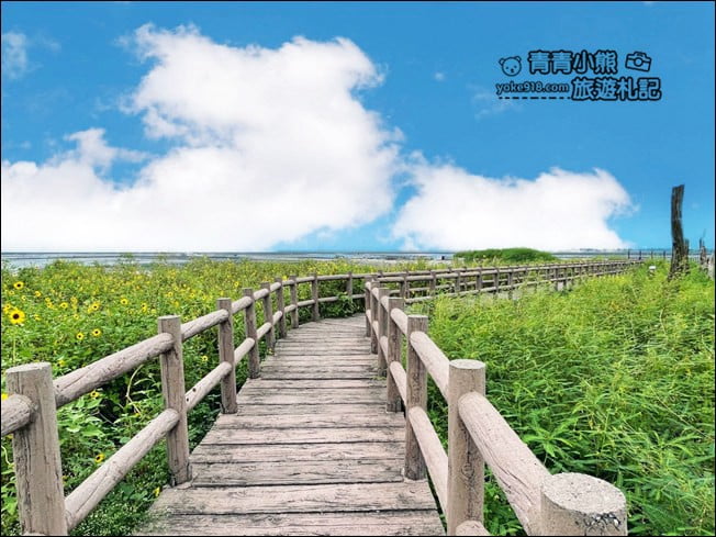 彰化景點》福寶溼地.漂流木IG打卡景點~探訪溼地&賞夕陽看海去 @青青小熊*旅遊札記 彰化景點》福寶溼地.漂流木IG打卡景點~探訪溼地&賞夕陽看海去 @青青小熊*旅遊札記