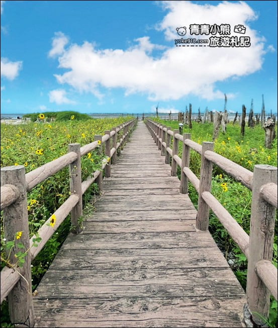 彰化景點》福寶溼地.漂流木IG打卡景點~探訪溼地&賞夕陽看海去 @青青小熊*旅遊札記 彰化景點》福寶溼地.漂流木IG打卡景點~探訪溼地&賞夕陽看海去 @青青小熊*旅遊札記