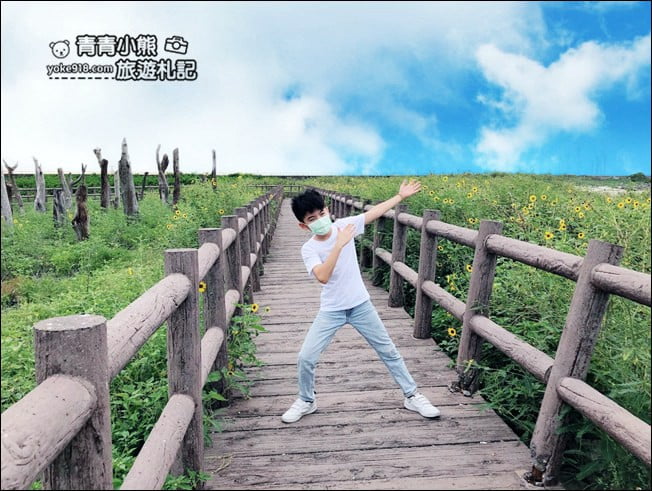 彰化景點》福寶溼地.漂流木IG打卡景點~探訪溼地&賞夕陽看海去 @青青小熊*旅遊札記 彰化景點》福寶溼地.漂流木IG打卡景點~探訪溼地&賞夕陽看海去 @青青小熊*旅遊札記