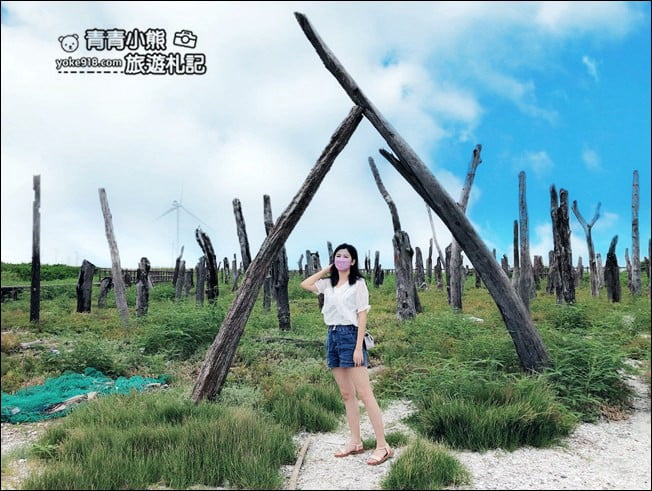 彰化景點》福寶溼地．漂流木IG打卡景點~探訪溼地&賞夕陽看海去 @青青小熊＊旅遊札記