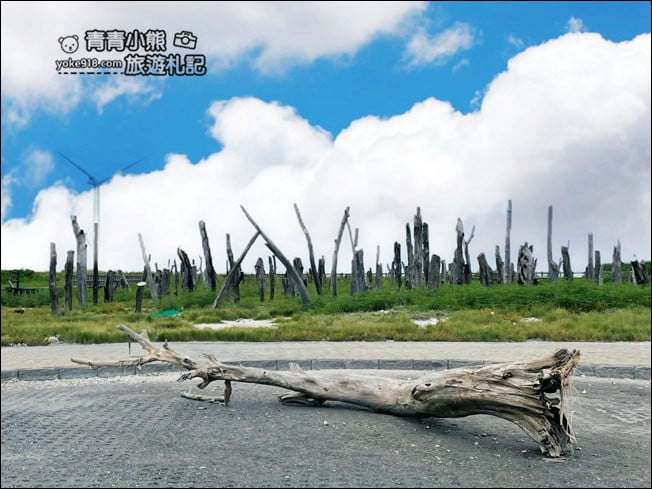 彰化景點》福寶溼地.漂流木IG打卡景點~探訪溼地&賞夕陽看海去 @青青小熊*旅遊札記 彰化景點》福寶溼地.漂流木IG打卡景點~探訪溼地&賞夕陽看海去 @青青小熊*旅遊札記