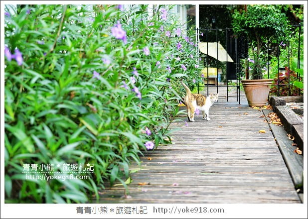 花蓮住宿》花蓮夏慕尼咖啡民宿．隱藏市區的咖啡廳/MV拍攝場景 @青青小熊＊旅遊札記