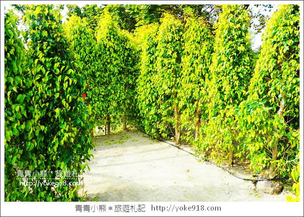 雲林旅遊》崙背悠紙生活館．化身成各種玩具的瓦楞紙~親子同遊推薦(已結束營業) @青青小熊＊旅遊札記