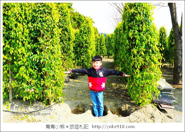 雲林旅遊》崙背悠紙生活館．化身成各種玩具的瓦楞紙~親子同遊推薦(已結束營業) @青青小熊＊旅遊札記