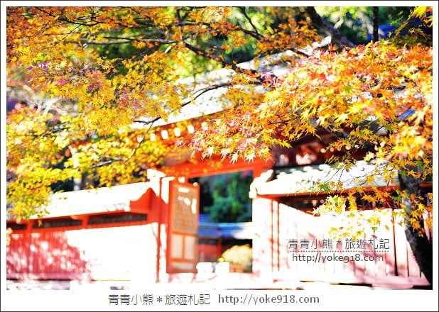 京都賞楓景點》高雄神護寺/西明寺.秋日必訪京都賞楓名所 @青青小熊*旅遊札記 京都賞楓景點》高雄神護寺/西明寺.秋日必訪京都賞楓名所 @青青小熊*旅遊札記
