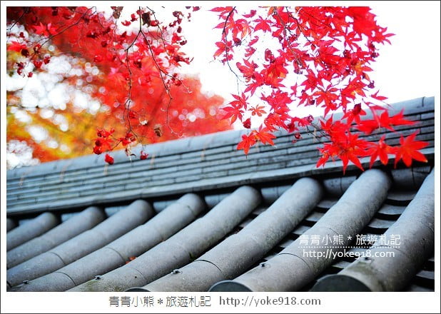 京都賞楓景點》高雄神護寺/西明寺．秋日必訪京都賞楓名所 @青青小熊＊旅遊札記