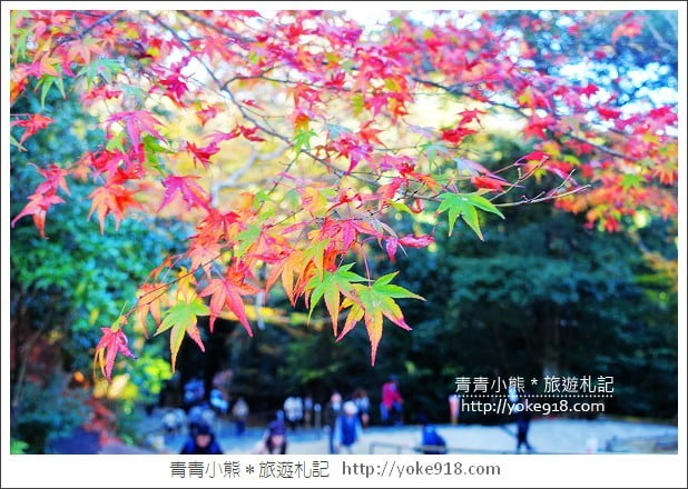 京都賞楓景點》高雄神護寺/西明寺.秋日必訪京都賞楓名所 @青青小熊*旅遊札記 京都賞楓景點》高雄神護寺/西明寺.秋日必訪京都賞楓名所 @青青小熊*旅遊札記