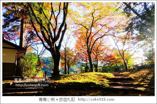 京都賞楓景點》高雄神護寺/西明寺.秋日必訪京都賞楓名所 @青青小熊*旅遊札記 京都賞楓景點》高雄神護寺/西明寺.秋日必訪京都賞楓名所 @青青小熊*旅遊札記