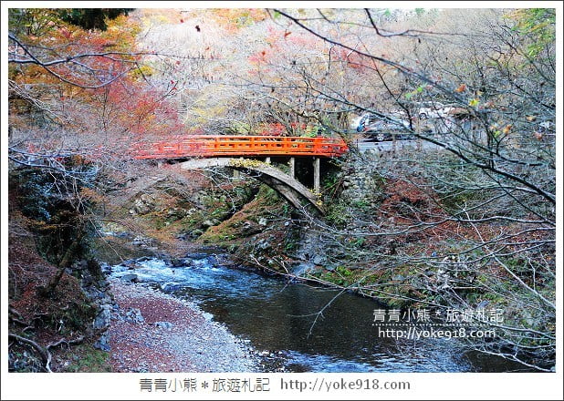 京都賞楓景點》高雄神護寺/西明寺.秋日必訪京都賞楓名所 @青青小熊*旅遊札記 京都賞楓景點》高雄神護寺/西明寺.秋日必訪京都賞楓名所 @青青小熊*旅遊札記
