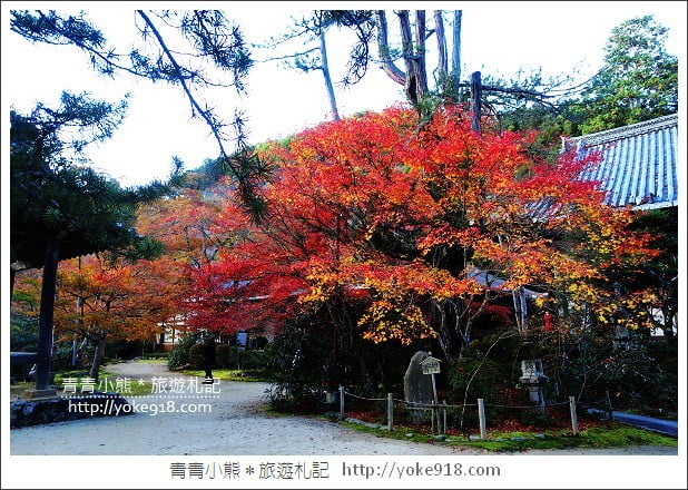 京都賞楓景點》高雄神護寺/西明寺.秋日必訪京都賞楓名所 @青青小熊*旅遊札記 京都賞楓景點》高雄神護寺/西明寺.秋日必訪京都賞楓名所 @青青小熊*旅遊札記