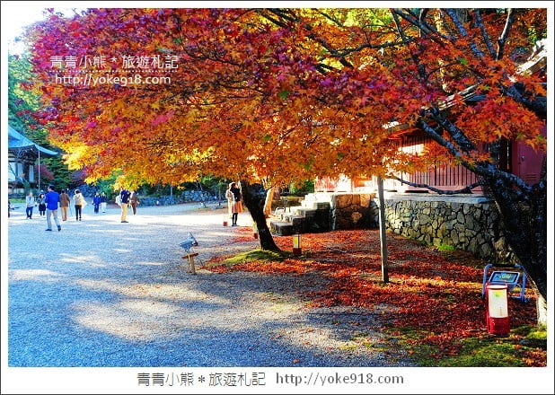 京都賞楓景點》高雄神護寺/西明寺.秋日必訪京都賞楓名所 @青青小熊*旅遊札記 京都賞楓景點》高雄神護寺/西明寺.秋日必訪京都賞楓名所 @青青小熊*旅遊札記
