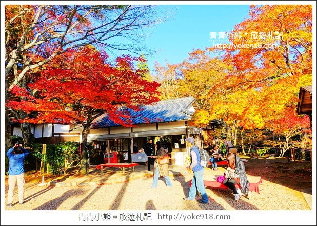 京都賞楓景點》高雄神護寺/西明寺．秋日必訪京都賞楓名所 @青青小熊＊旅遊札記