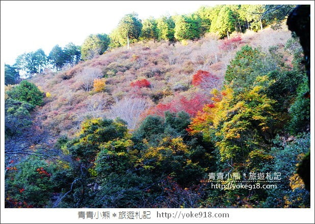 京都賞楓景點》高雄神護寺/西明寺.秋日必訪京都賞楓名所 @青青小熊*旅遊札記 京都賞楓景點》高雄神護寺/西明寺.秋日必訪京都賞楓名所 @青青小熊*旅遊札記