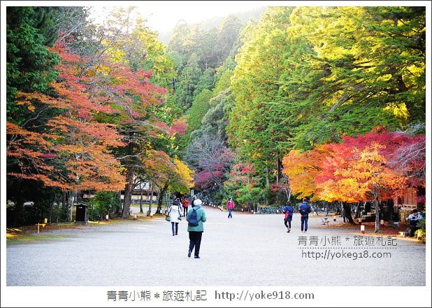 京都賞楓景點》高雄神護寺/西明寺.秋日必訪京都賞楓名所 @青青小熊*旅遊札記 京都賞楓景點》高雄神護寺/西明寺.秋日必訪京都賞楓名所 @青青小熊*旅遊札記