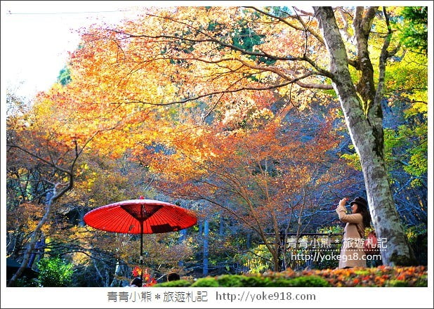 京都賞楓景點》高雄神護寺/西明寺.秋日必訪京都賞楓名所 @青青小熊*旅遊札記 京都賞楓景點》高雄神護寺/西明寺.秋日必訪京都賞楓名所 @青青小熊*旅遊札記