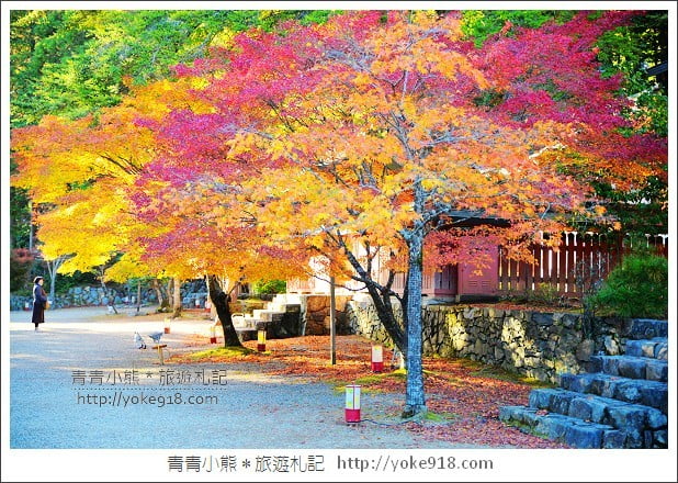 京都賞楓景點》高雄神護寺/西明寺.秋日必訪京都賞楓名所 @青青小熊*旅遊札記 京都賞楓景點》高雄神護寺/西明寺.秋日必訪京都賞楓名所 @青青小熊*旅遊札記